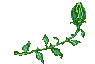 10.gif